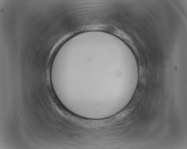 X0000069810012200605190856