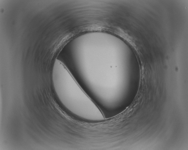 X0000069810013200605190856