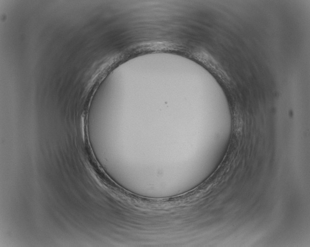 X0000069810014200605190856