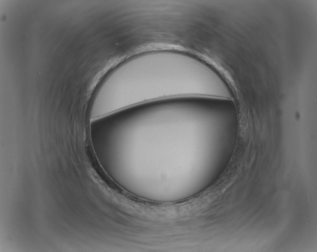 X0000069810015200605190856