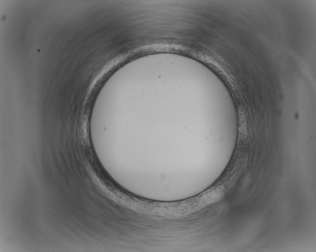 X0000069810016200605190856