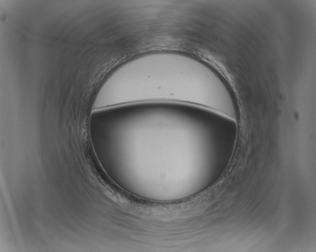 X0000069810017200605190856