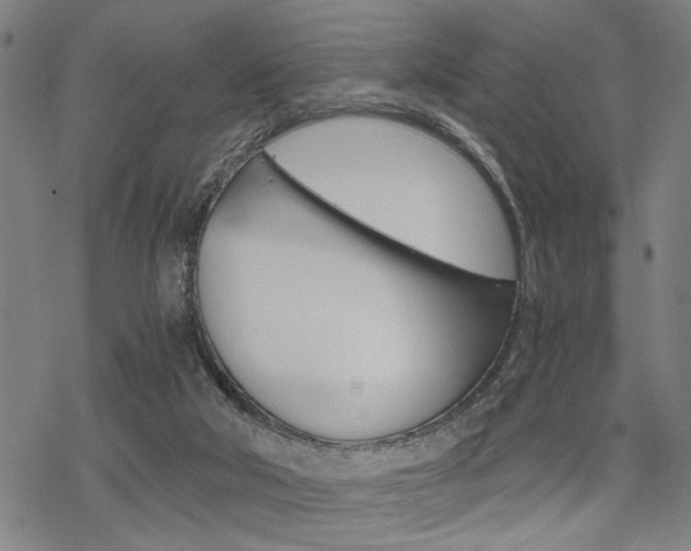 X0000069810018200605190856