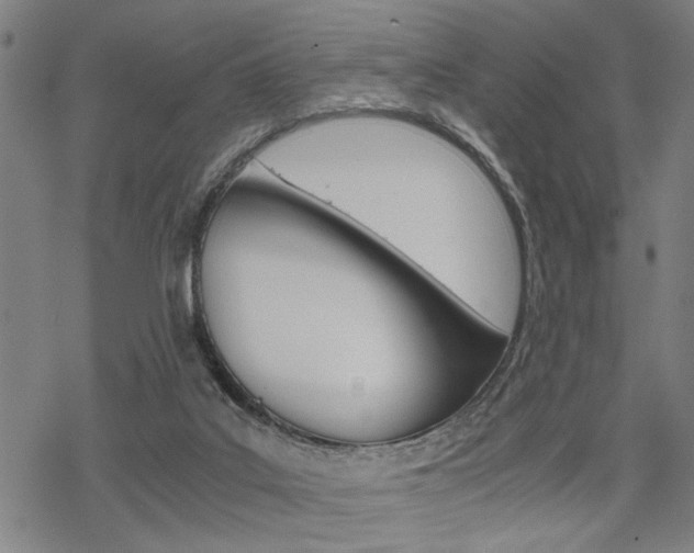 X0000069810019200605190856