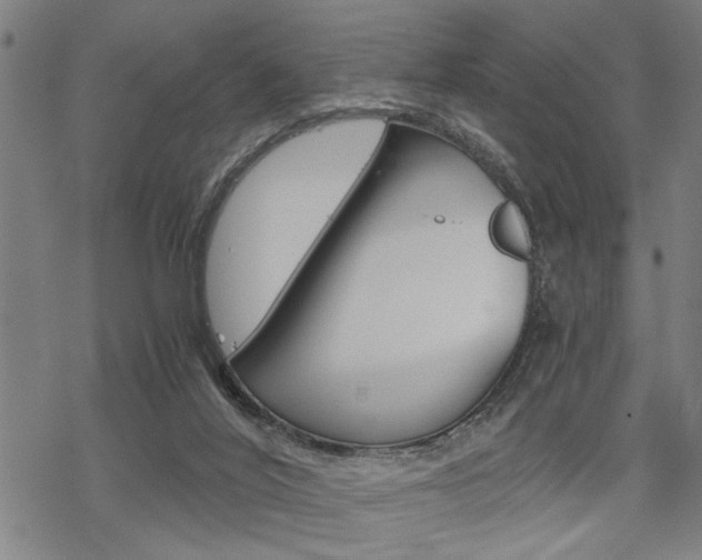 X0000069810020200605190856