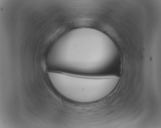 X0000069810021200605190856