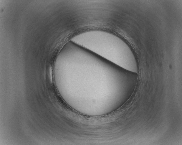 X0000069810022200605190856