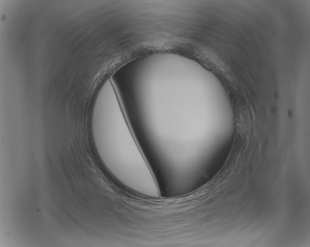 X0000069810023200605190856