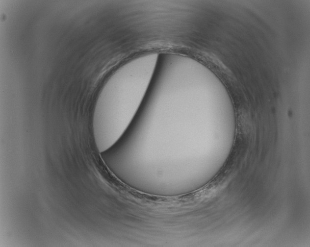 X0000069810024200605190856