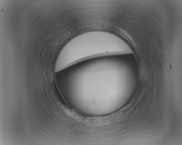 X0000069810025200605190856