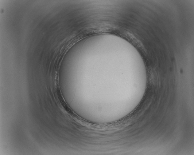 X0000069810026200605190856