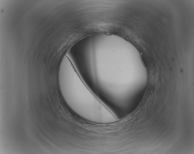 X0000069810027200605190856