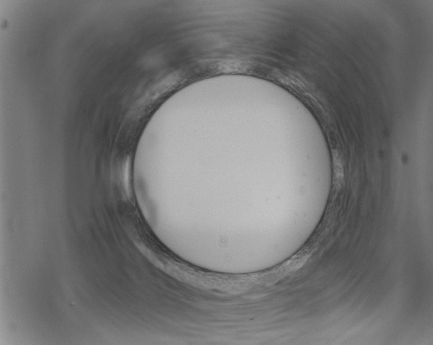 X0000069810028200605190856