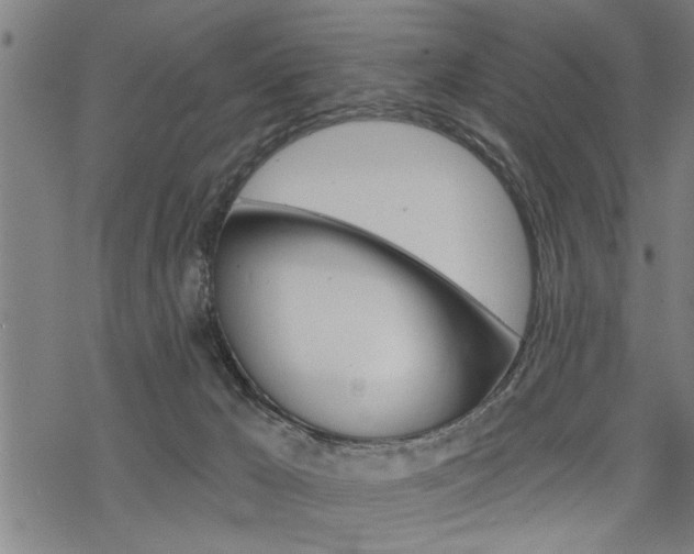 X0000069810029200605190856