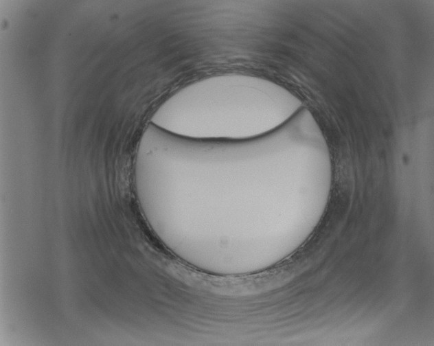 X0000069810030200605190856