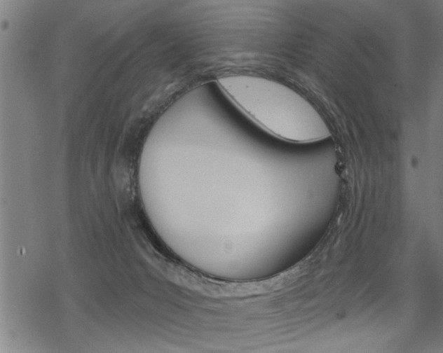 X0000069810031200605190856