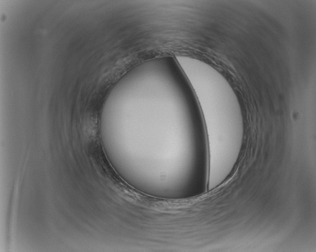 X0000069810033200605190856