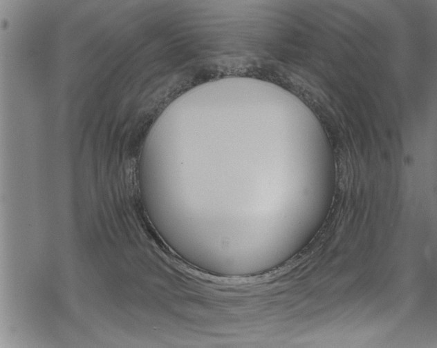 X0000069810034200605190856