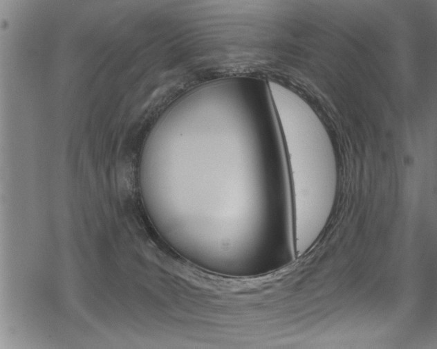 X0000069810035200605190856