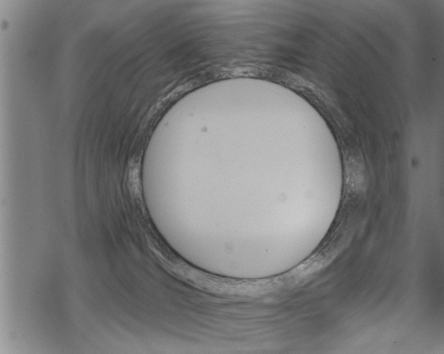 X0000069810036200605190856