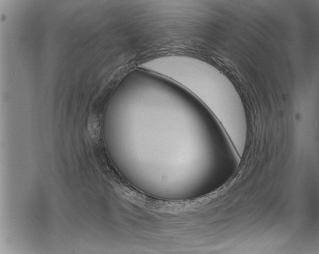 X0000069810037200605190856