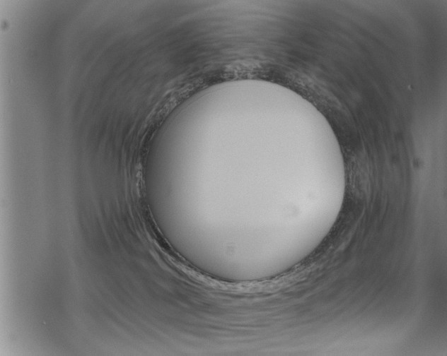 X0000069810038200605190856