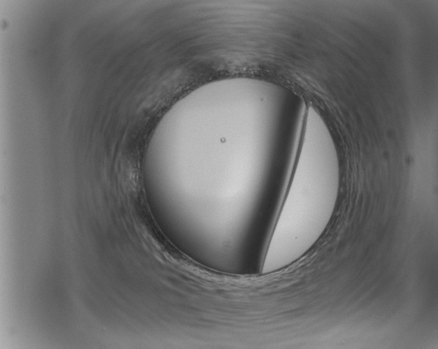 X0000069810039200605190856