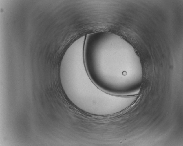 X0000069810041200605190856