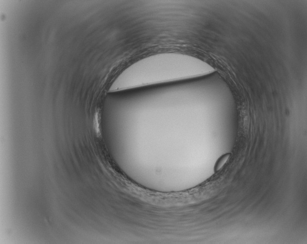 X0000069810042200605190856