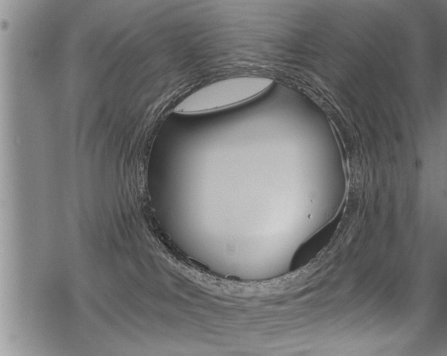 X0000069810043200605190856