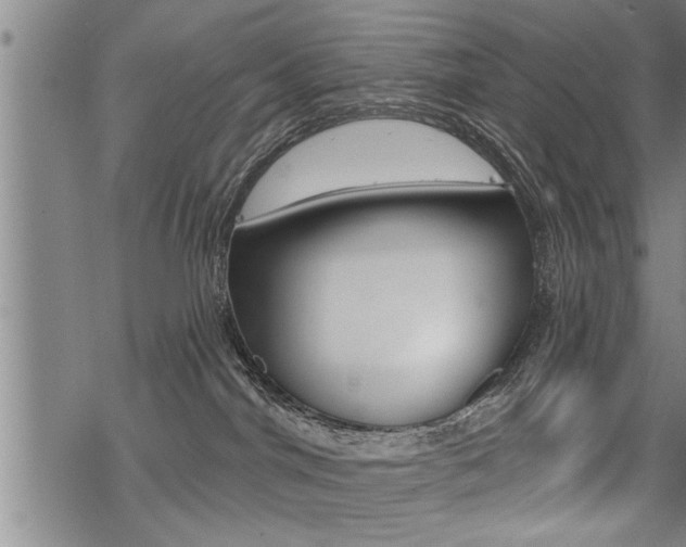 X0000069810044200605190856