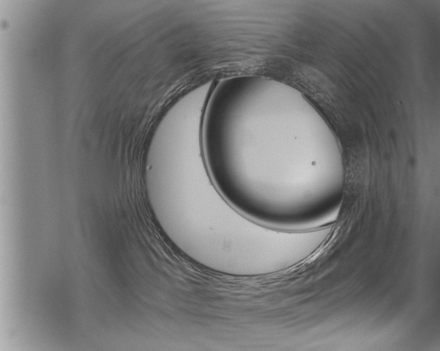 X0000069810045200605190856