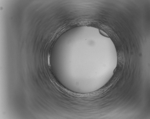 X0000069810046200605190856