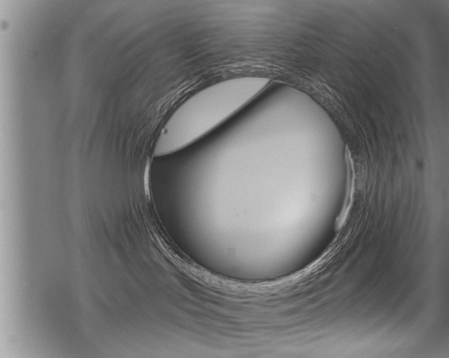 X0000069810047200605190856