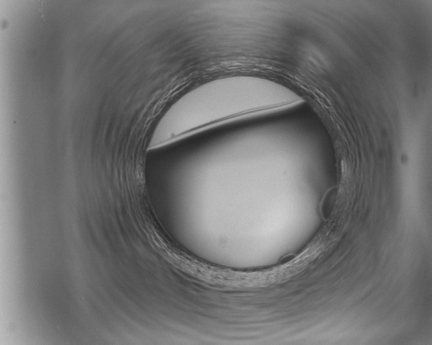 X0000069810048200605190856