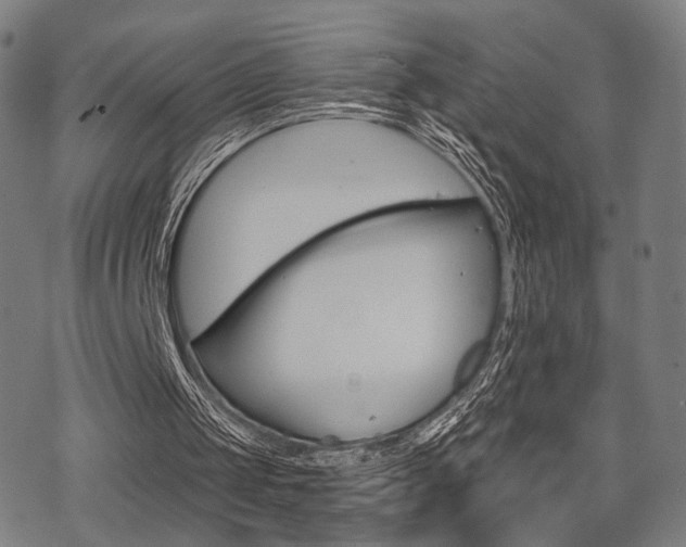 X0000069810049200605190855