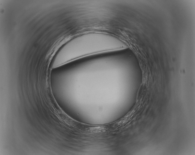 X0000069810050200605190855