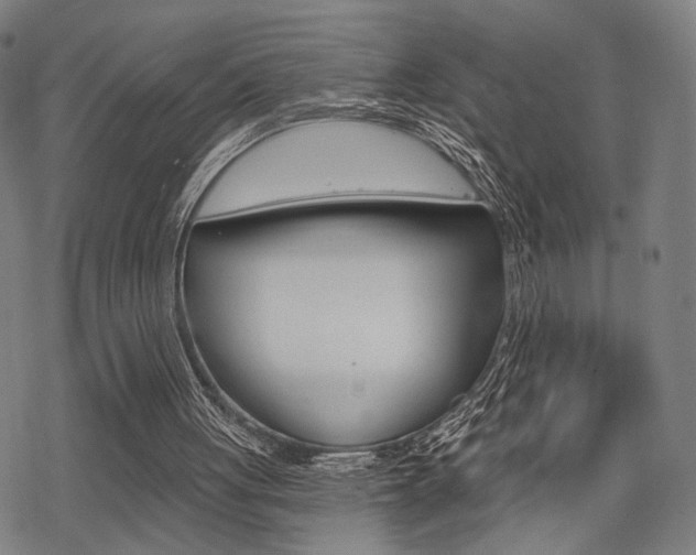 X0000069810051200605190855