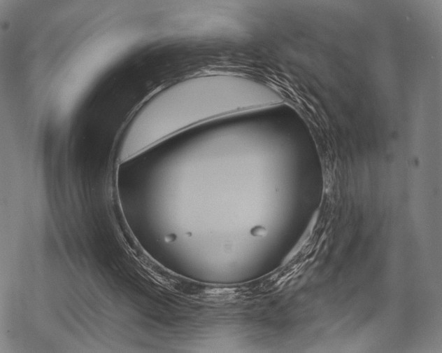 X0000069810052200605190855