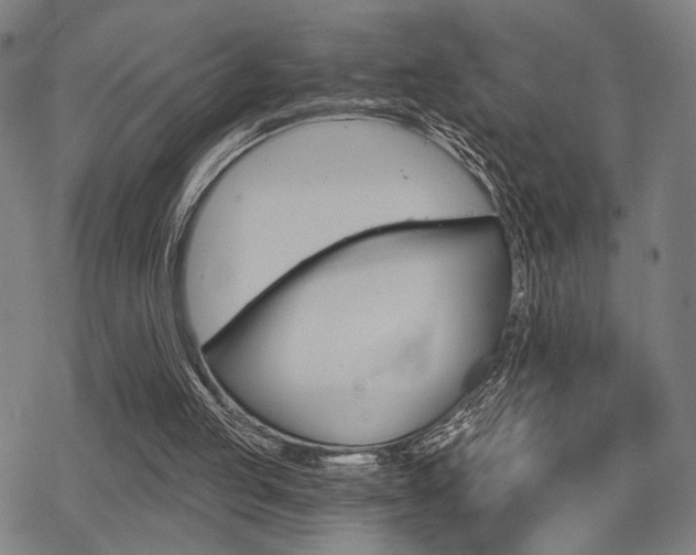 X0000069810053200605190855