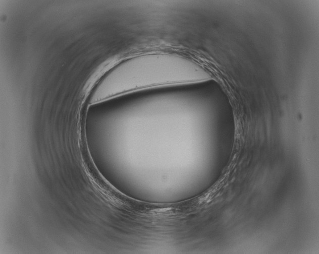 X0000069810054200605190855