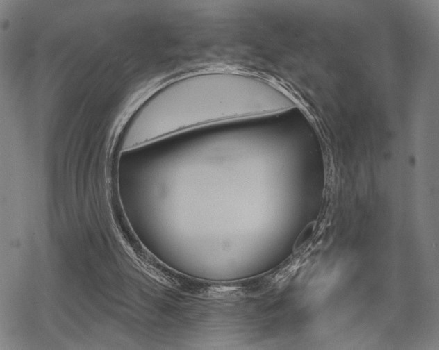 X0000069810055200605190855