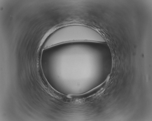 X0000069810056200605190855