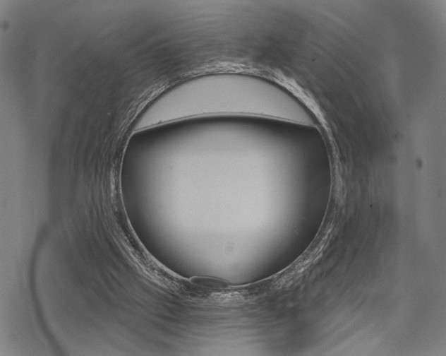 X0000069810057200605190855