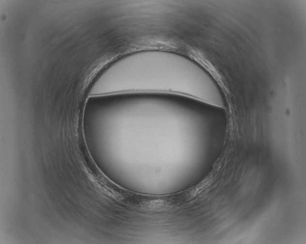 X0000069810058200605190855