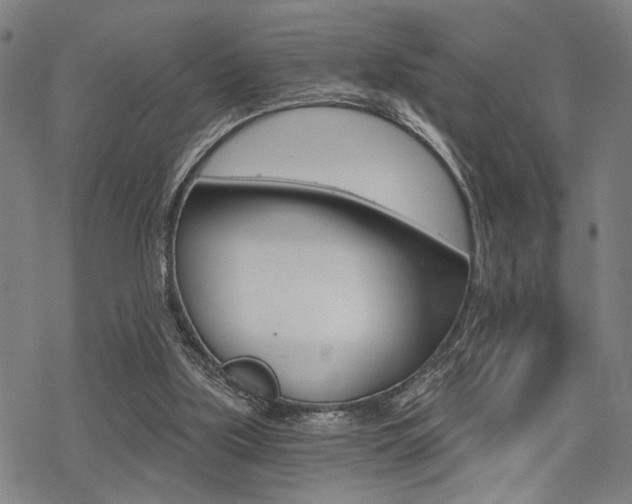 X0000069810059200605190855