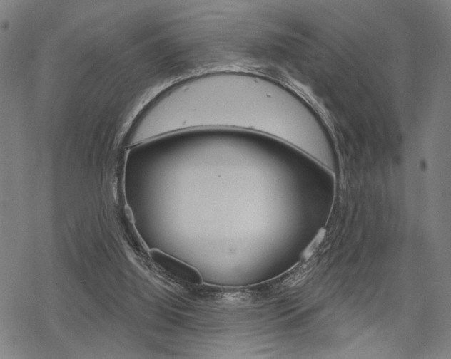 X0000069810060200605190855