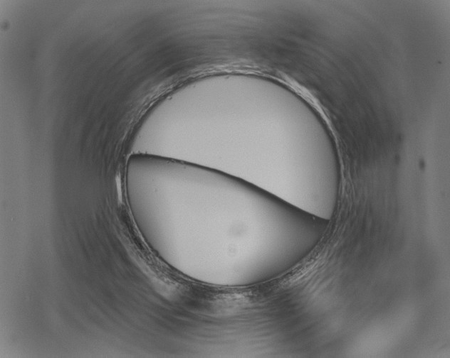 X0000069810061200605190855