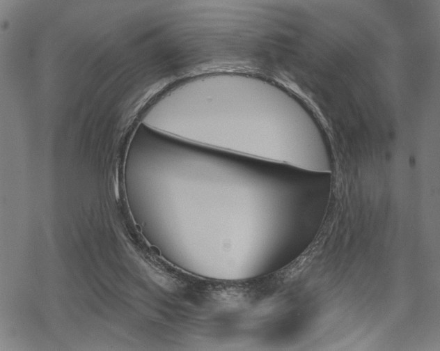 X0000069810062200605190855