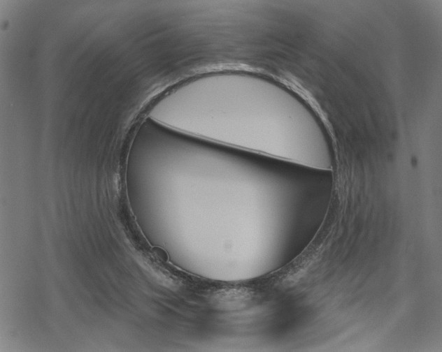 X0000069810063200605190855